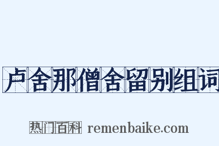 卢舍那僧舍留别组词是什么意思的图片